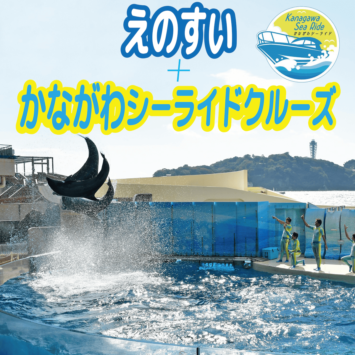 えのすい＋かながわシーライドクルーズ