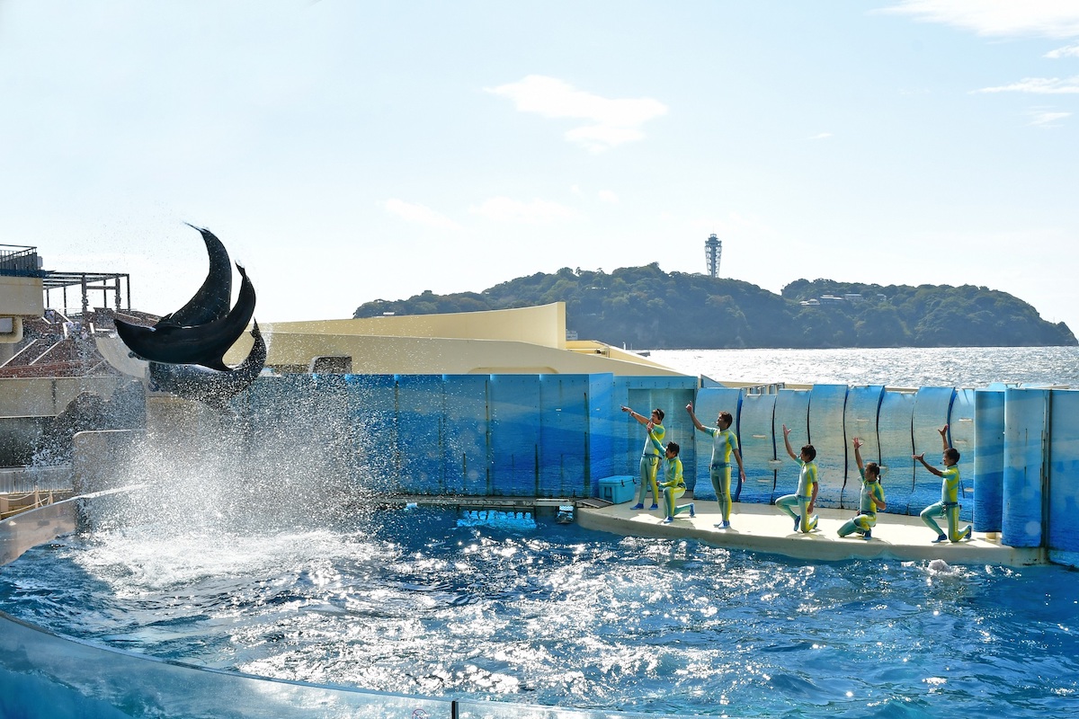 新江ノ島水族館