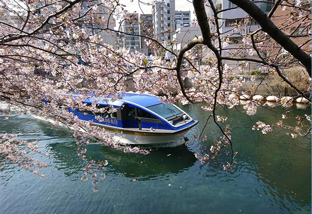 ゴールデンウィーク周遊クルーズ